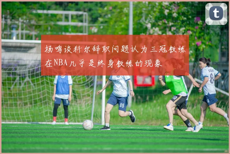 杨鸣谈科尔辞职问题认为三冠教练在NBA几乎是终身教练的现象